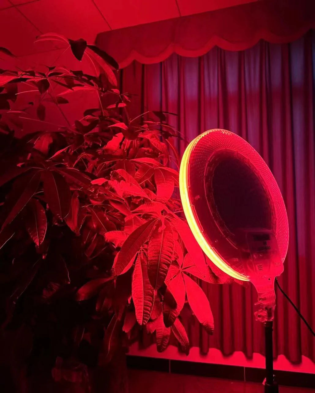 LED Fill Light RGB