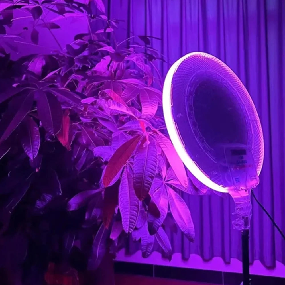 LED Fill Light RGB
