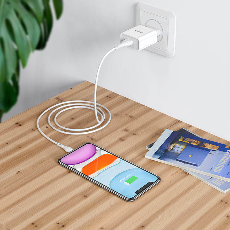 HOCO Wall charger “C81A Asombroso” EU plug set with cable